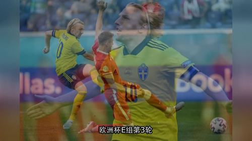 瑞典vs波兰集锦